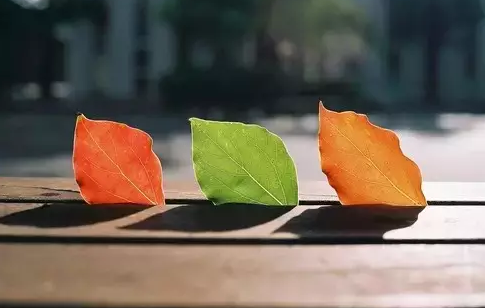 漰Wվă