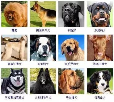 ͌ﹷ