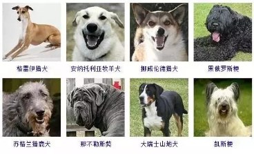 ͌ﹷ