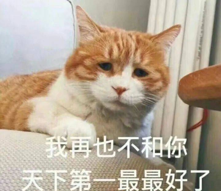 搞笑沙雕的表情包(如何制作自己的微信表情包)