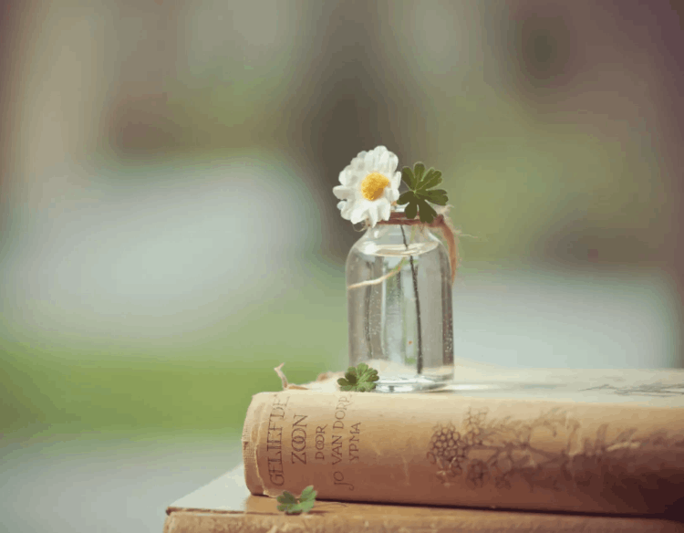 想太多，就是折磨自己