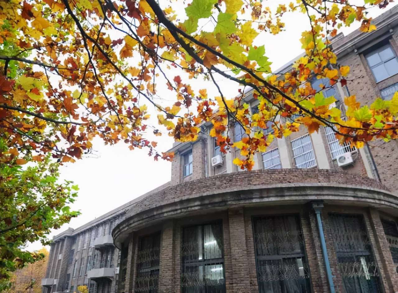 中國(guó)農(nóng)業(yè)大學(xué)：農(nóng)業(yè)類高校一哥，2021年錄取詳情