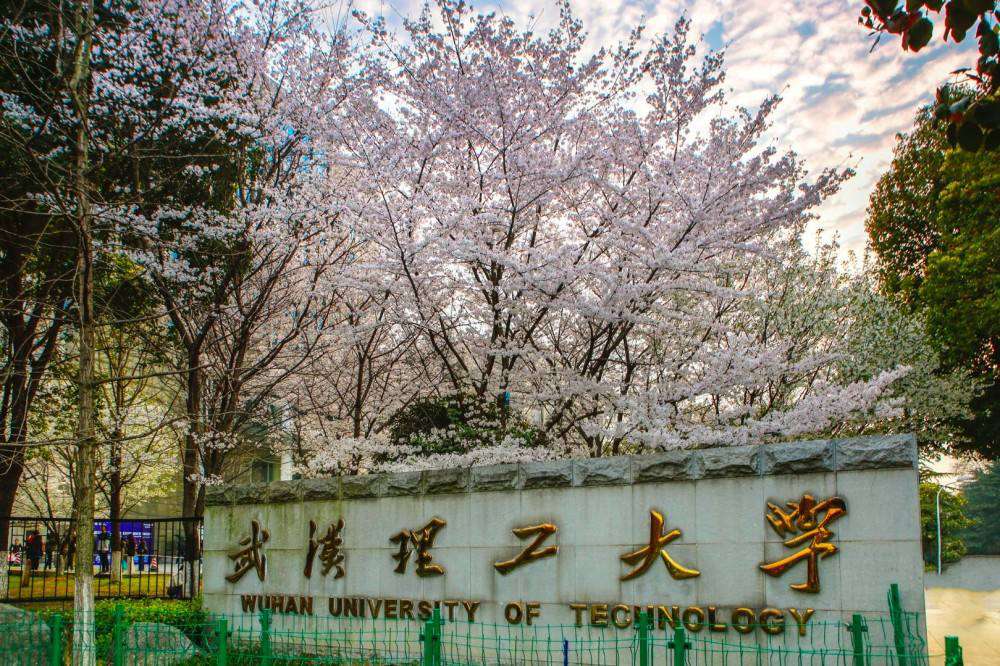 武漢理工大學(211高校)2021年錄取分數(shù)線
