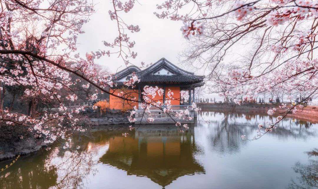 10首清明詩詞，落花飛絮，春意闌珊，最美人間四月天