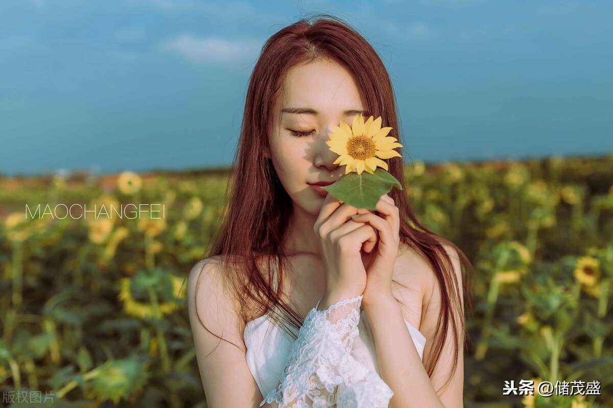 車險新規后投保哪家劃算？看下人保、平安等五家公司發的報價單