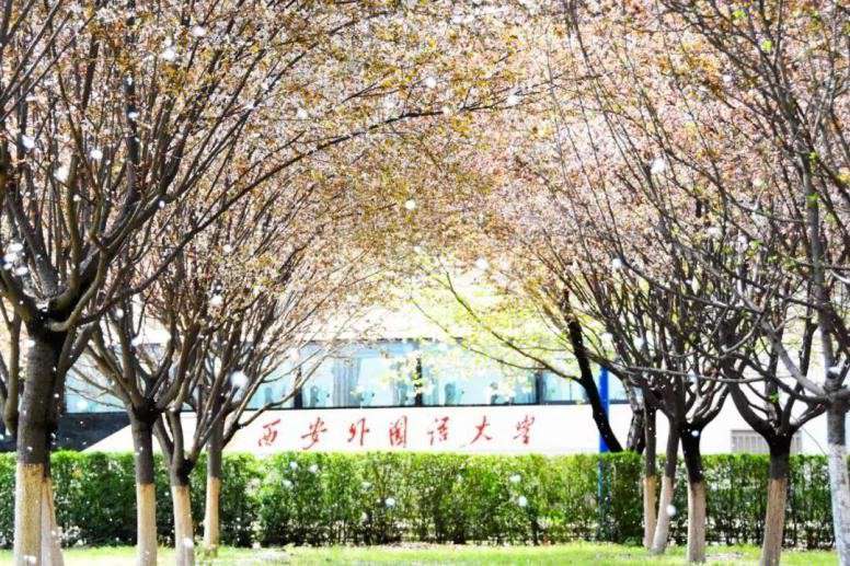西安外國語大學(xué)排名第幾(2022年翻譯專業(yè)排名第一)