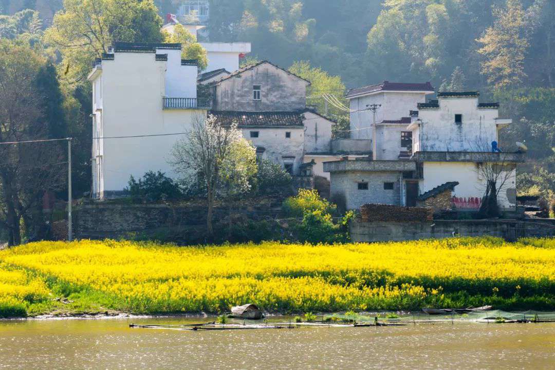 10首清明詩詞，落花飛絮，春意闌珊，最美人間四月天
