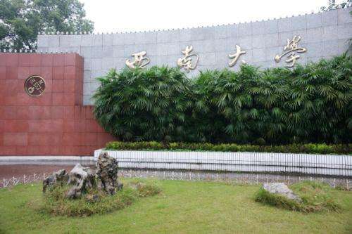 西南大學(xué)是985還是211,不帶師范二字的211師范大學(xué)