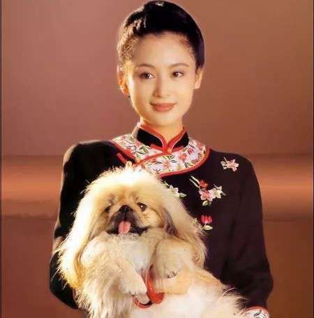 白月光是什么意思(白月光網絡語)