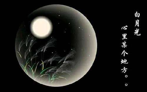 白月光是什么意思(白月光網絡語)