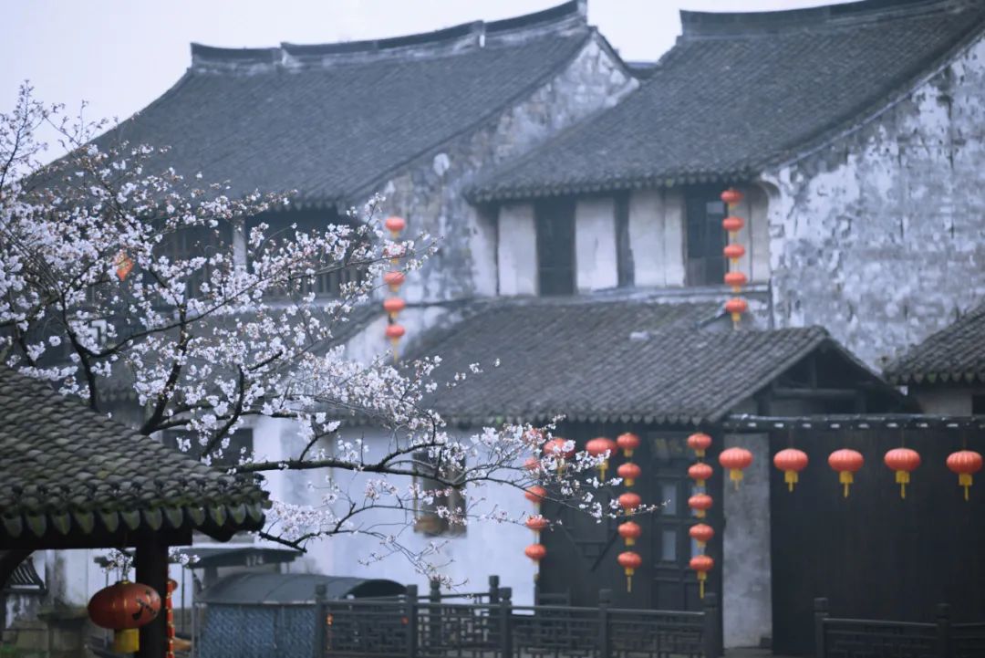 朋友圈曬花的唯美句子,落花的唯美詩詞句子