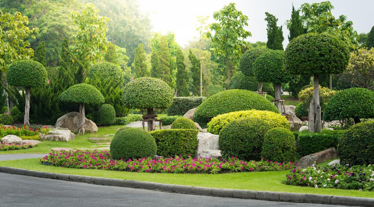 個人優秀事跡怎么寫,寫先進事跡材料的5個經驗