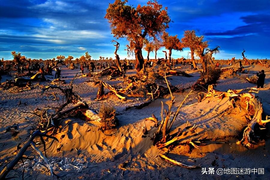 世界最大的沙漠排名(世界上沙漠面積最大的國家排名)