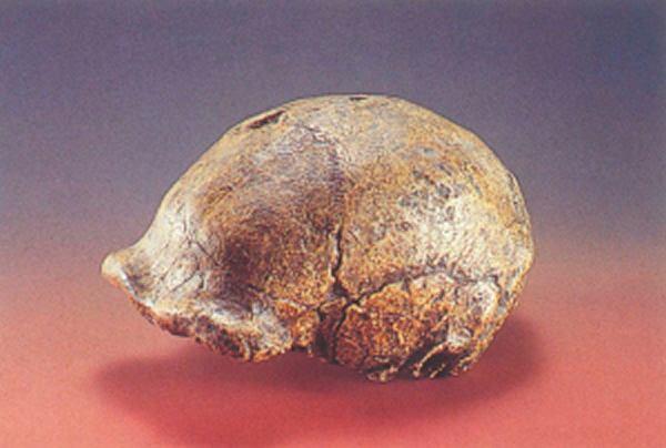 中國遺失十大無價之寶（流失在外的超級國寶）