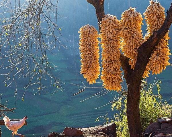 中國最偏僻的地方是哪里（中國最偏僻的地方詳細(xì)位置及地名）