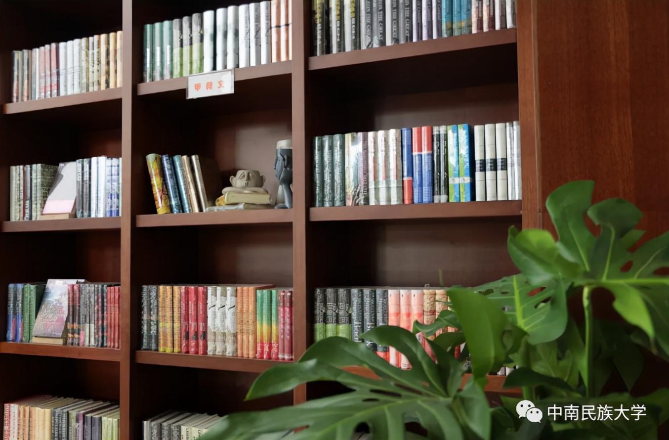 中南民族大學圖書館（中南民族大學校內雙子塔圖書館）