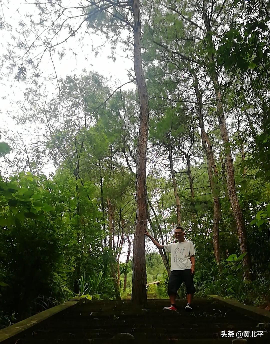 重慶主城哪里可以爬山的地方(重慶主城爬山最值得去的山)