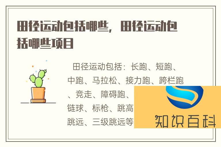 田徑運動包括哪些，田徑運動包括哪些項目