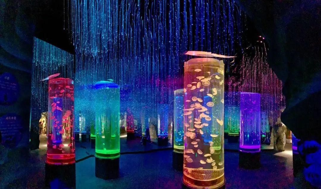 中國最大的海洋館排名前十(中國最好水族館的排行)