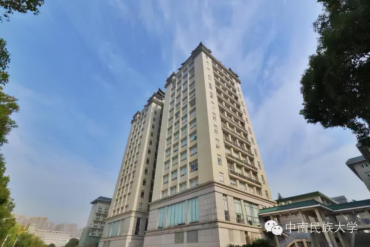 中南民族大學圖書館（中南民族大學校內雙子塔圖書館）