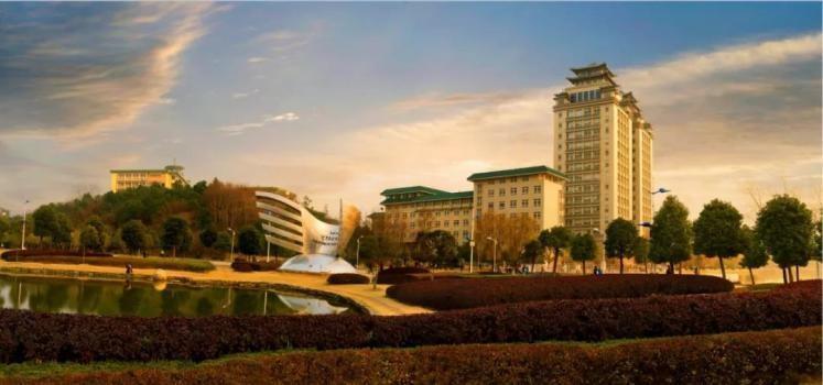 中南民族大學圖書館（中南民族大學校內雙子塔圖書館）