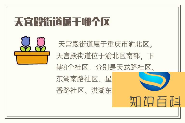 天宮殿街屬于重慶渝北區嗎