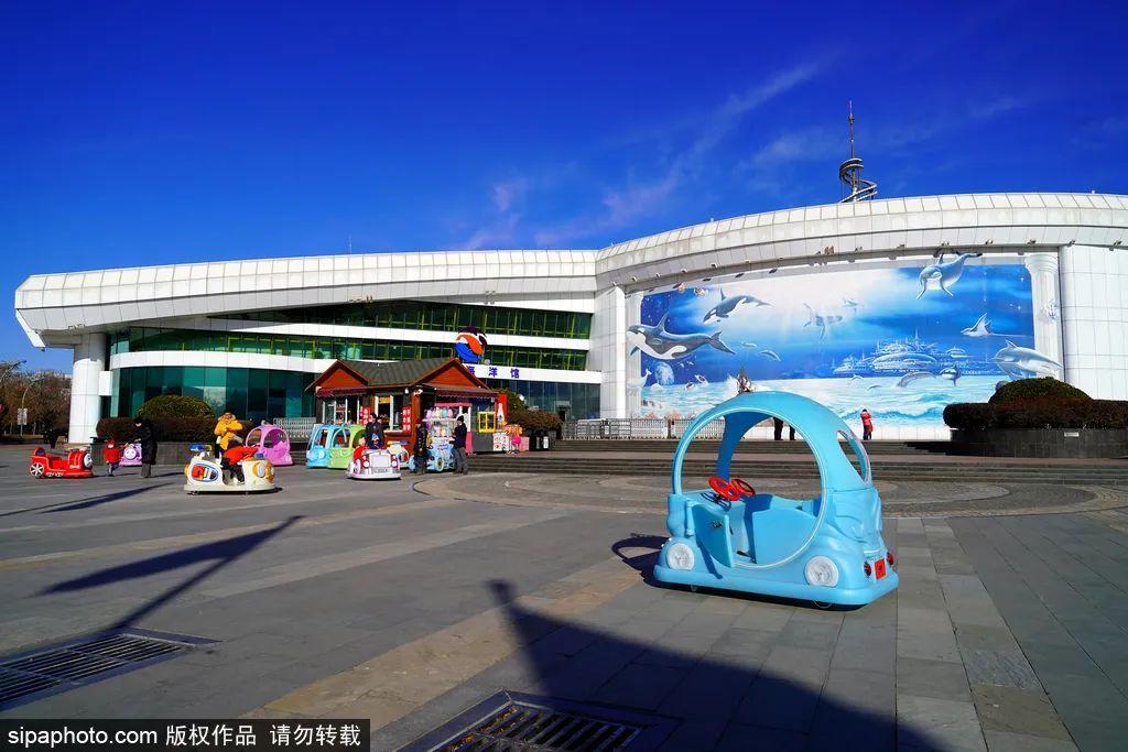 中國最大的海洋館排名前十(中國最好水族館的排行)