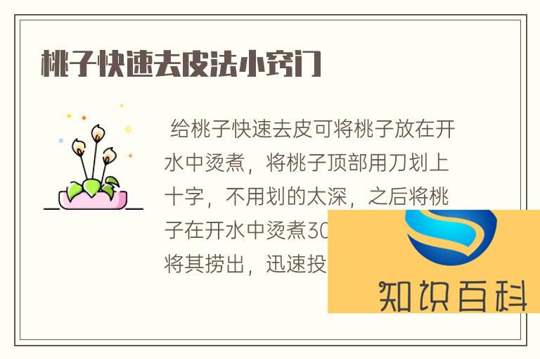 桃子快速去皮法小竅門