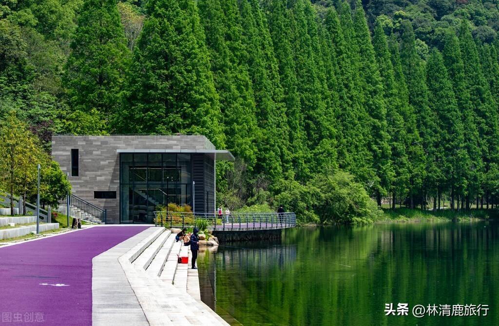 中國唯一世界宜居城市是哪個(全國第一宜居城市)