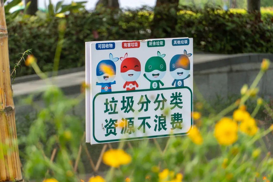 珠海休閑度假好去處（珠海拍照休閑兩不誤的最美街角）