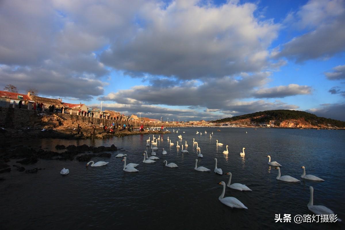 中國最涼爽城市排名（中國現(xiàn)在哪個城市最涼快）