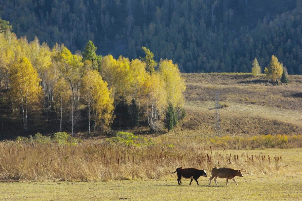 中國最偏僻的城市是哪個（中國最偏僻的城市具體位置在哪）