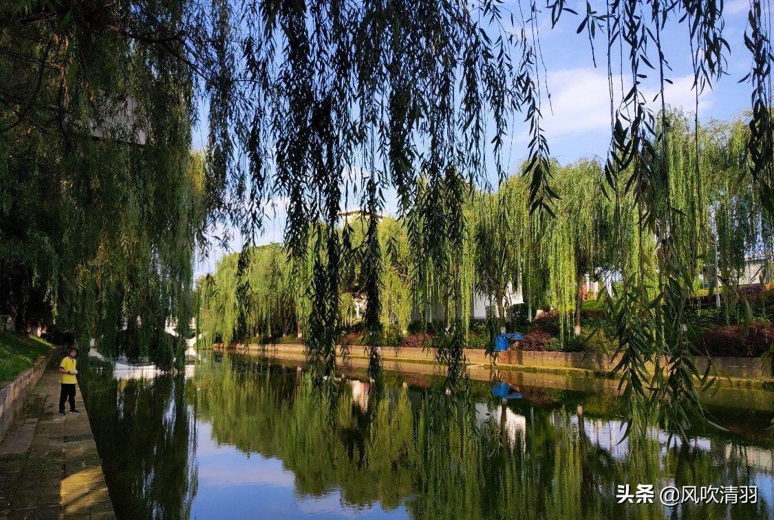 珠海宜居城市排名（廣東省最宜居的城市）