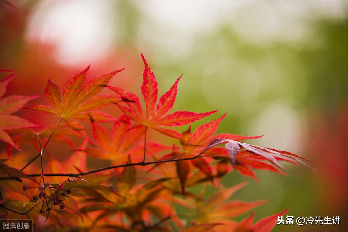 祝英臺和梁山伯民間故事簡介（祝英臺和梁山伯故事內容縮寫）