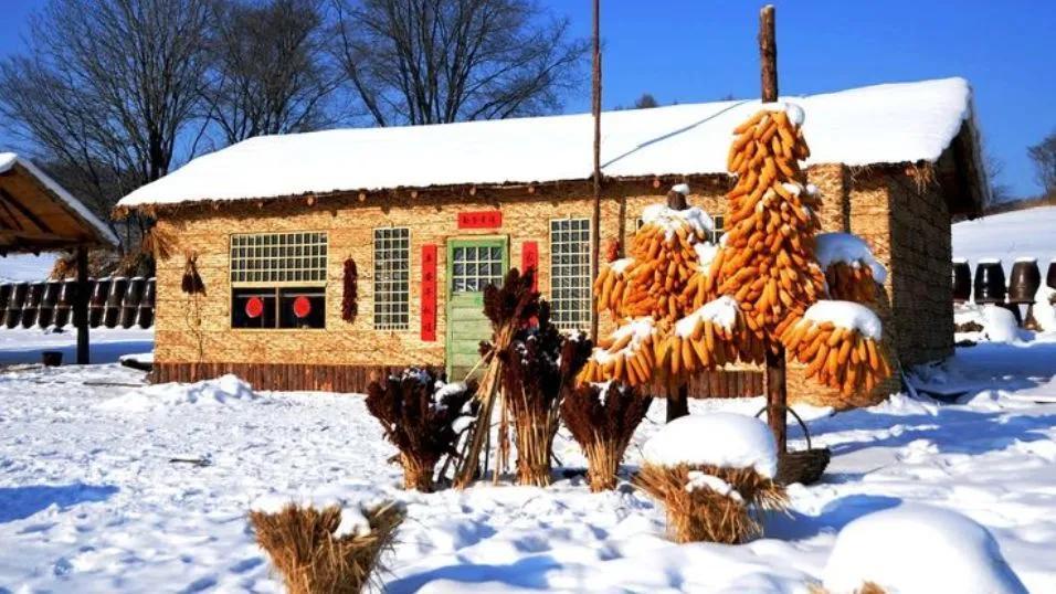 中國雪鄉在哪個城市及成因(怎么去雪鄉最方便)