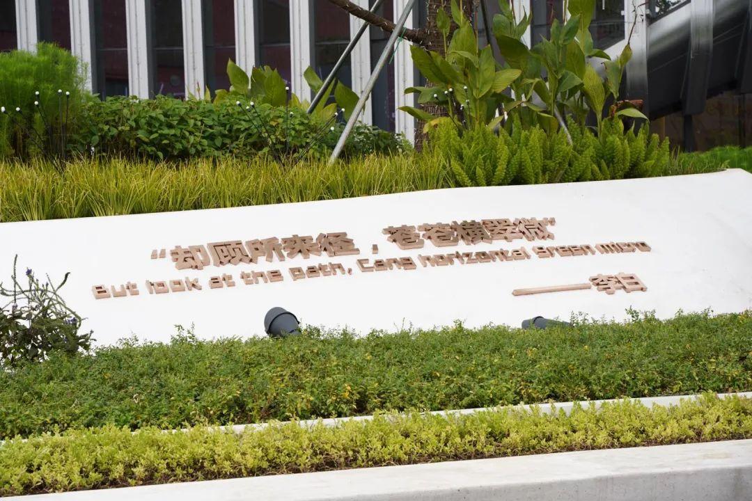 珠海休閑度假好去處（珠海拍照休閑兩不誤的最美街角）