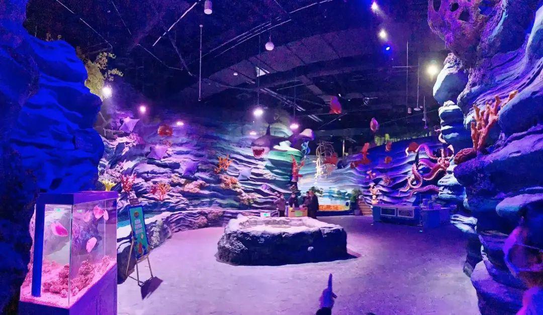 中國最大的海洋館排名前十(中國最好水族館的排行)