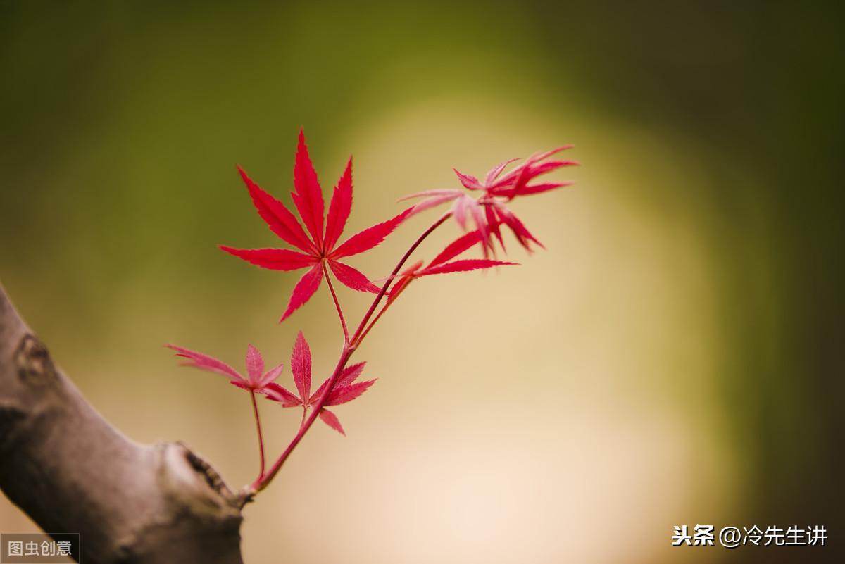 祝英臺和梁山伯民間故事簡介（祝英臺和梁山伯故事內容縮寫）
