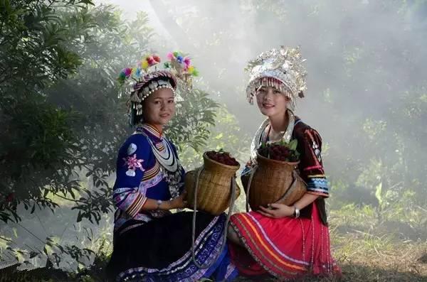 中國楊梅哪里的最有名（什么品種楊梅最好吃）