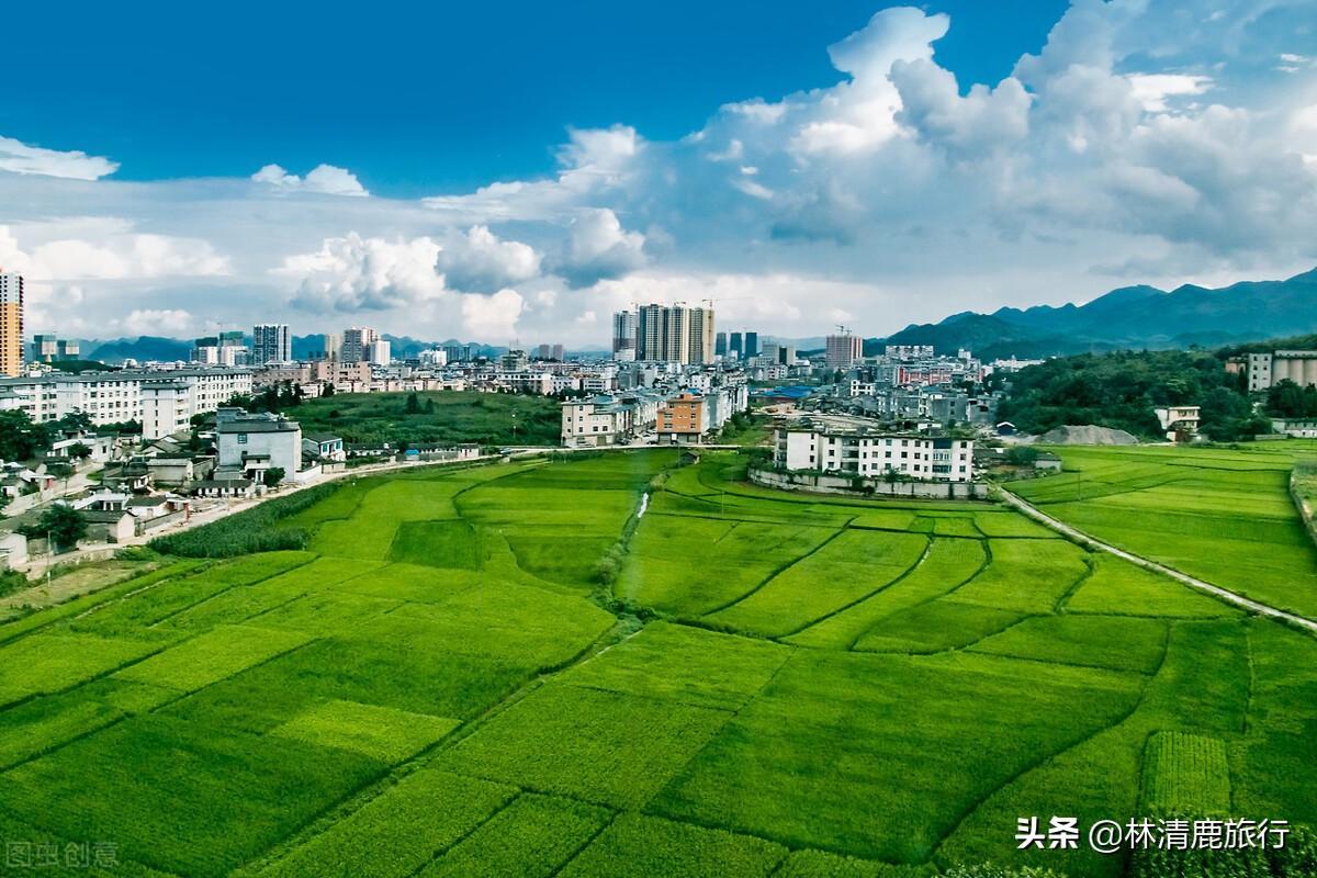 中國(guó)夏天最涼快的城市是哪里（中國(guó)最適合避暑的城市排名）