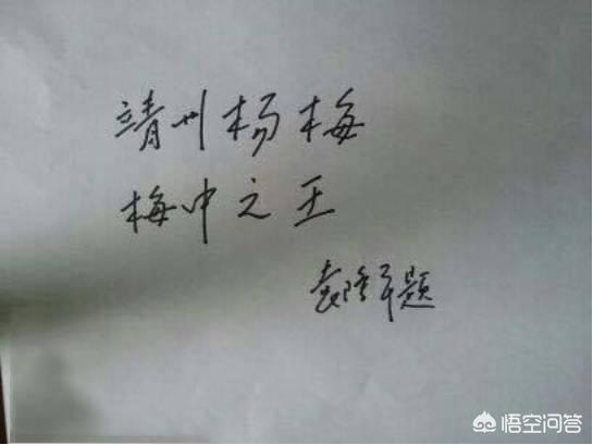 中國楊梅哪里的最有名（什么品種楊梅最好吃）