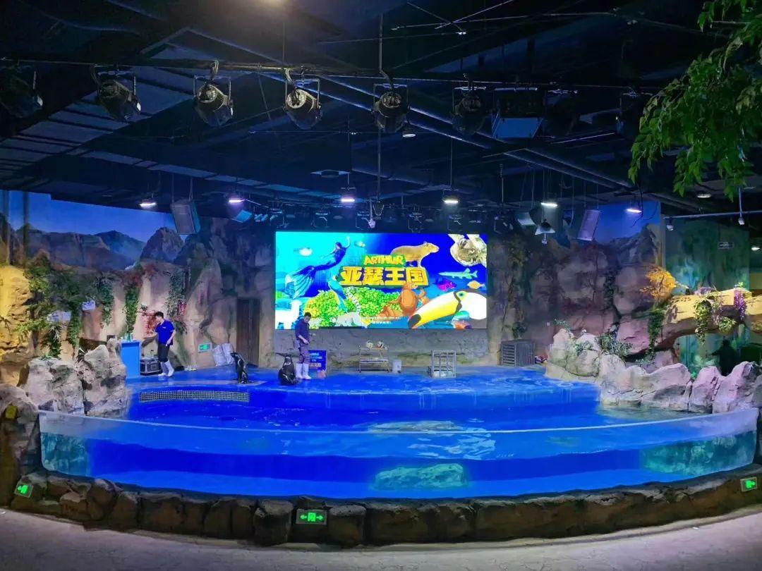 中國最大的海洋館排名前十(中國最好水族館的排行)