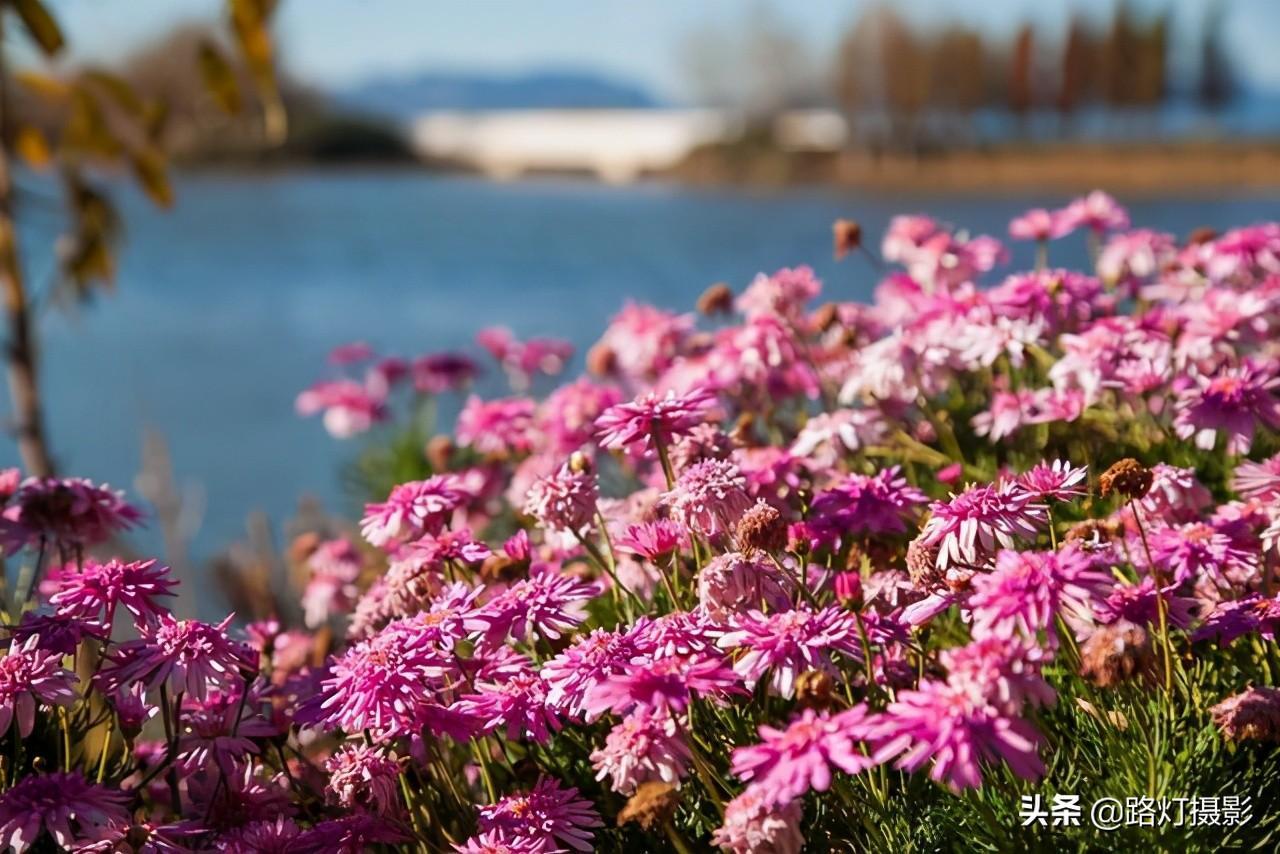 中國最涼爽城市排名（中國現(xiàn)在哪個城市最涼快）