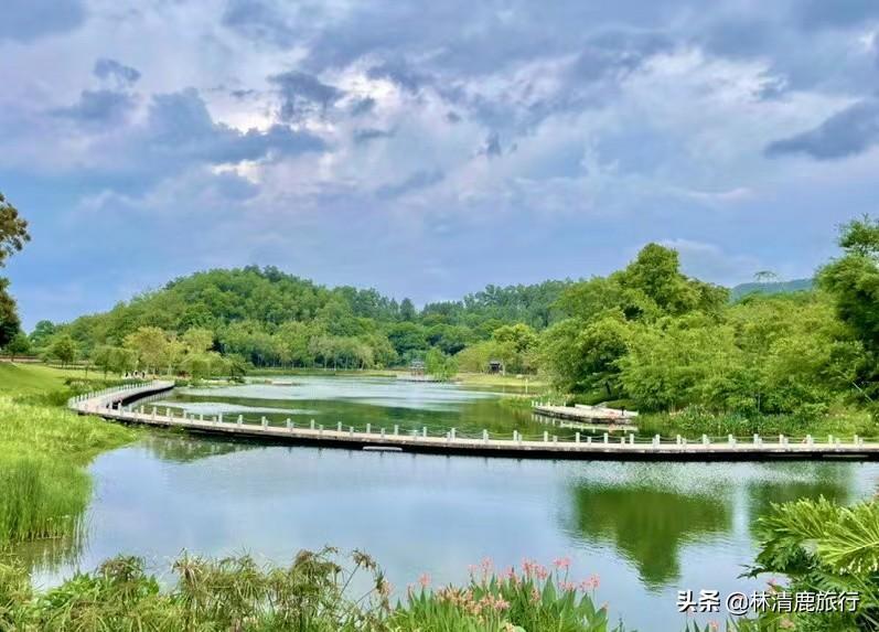 中國(guó)夏天最涼快的城市是哪里（中國(guó)最適合避暑的城市排名）