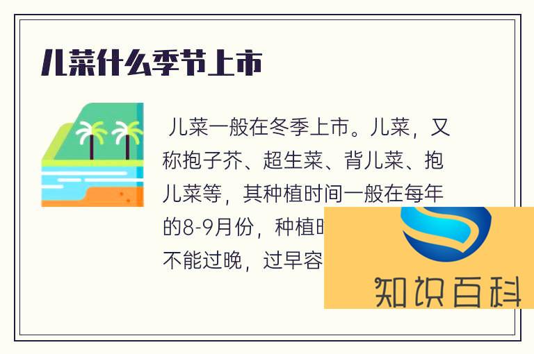兒菜什么季節上市