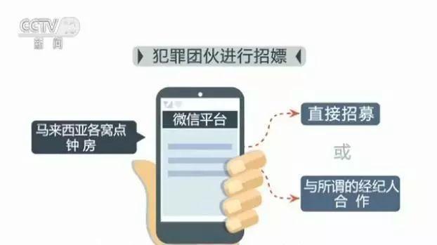 馬來西亞留學(xué)回國現(xiàn)狀(馬來西亞可以嫖嗎)