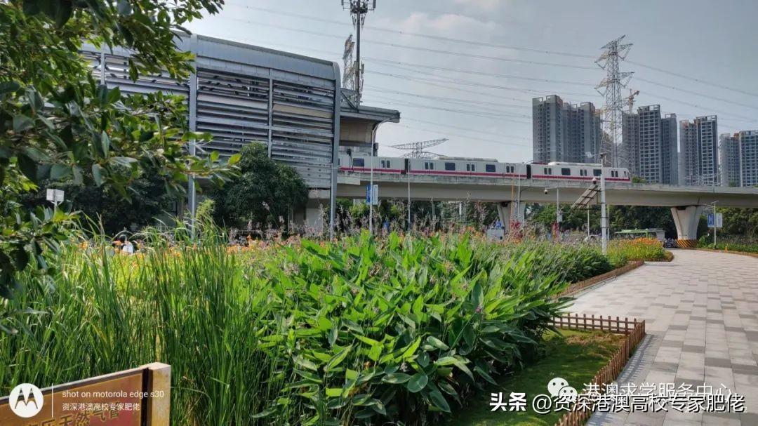 香港科技大學(xué)世界排名(香港科技大學(xué)有多厲害)