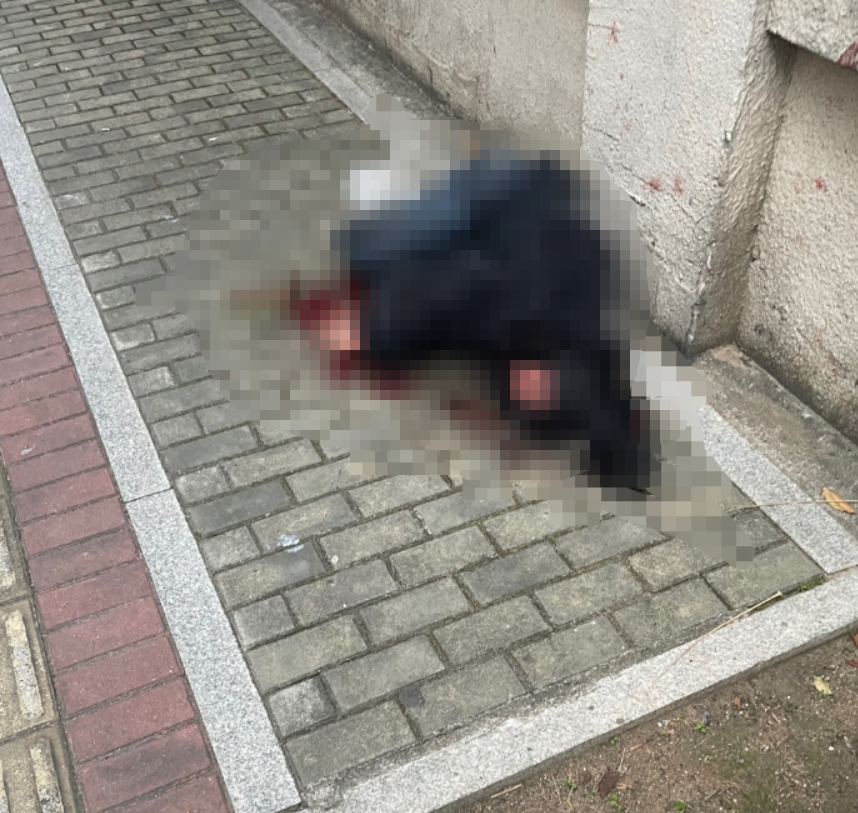 湛江女子被當(dāng)街捅死姐姐發(fā)聲（曾兩次持刀跟蹤）