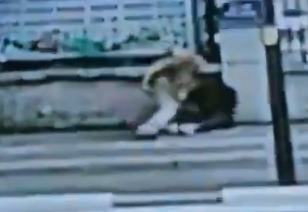 湛江女子被當(dāng)街捅死姐姐發(fā)聲（曾兩次持刀跟蹤）