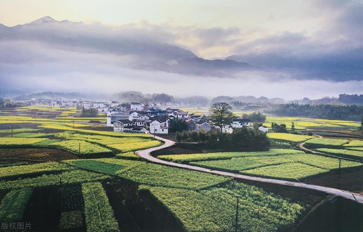 鄉(xiāng)村振興包括哪五個方面的振興（全面推進(jìn)鄉(xiāng)村振興的五個問題）